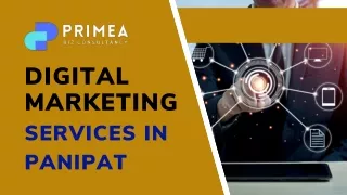 Digital Marketing Services In Panipat