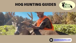 Hog Hunting Guides