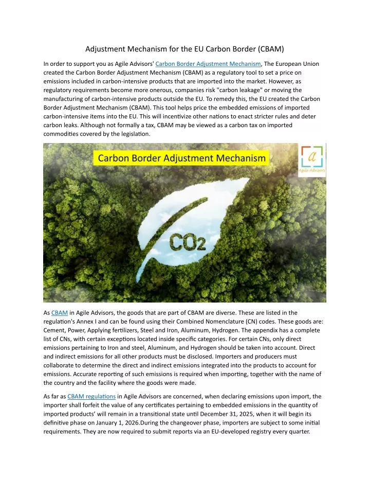 adjustment mechanism for the eu carbon border cbam