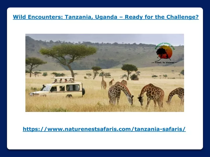 wild encounters tanzania uganda ready