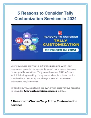 5 Reasons to Consider Tally Customization Services in 2024