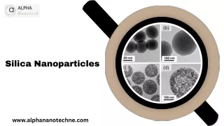 Silica Nanoparticles