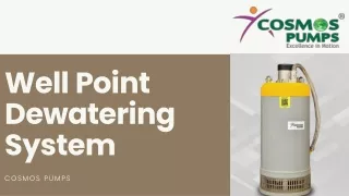 well point dewatering system
