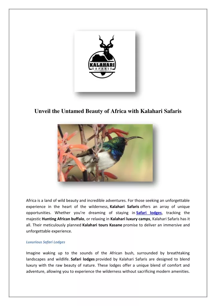 unveil the untamed beauty of africa with kalahari