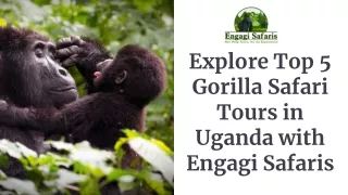 Explore Top 5 Gorilla Safari Tours in Uganda with Engagi Safaris