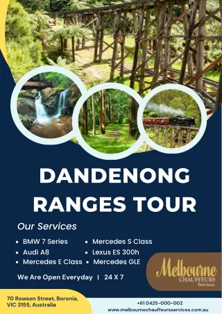 Dandenong Ranges Tour