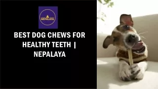 Best Dog Chews for Healthy Teeth  Nepalaya