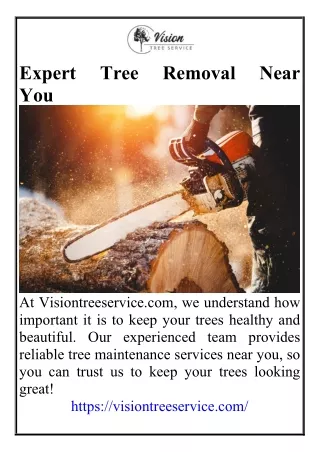 Expert Tree Removal Near You