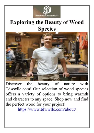 Exploring the Beauty of Wood Species