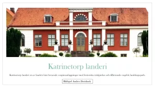 katrinetorp landeri