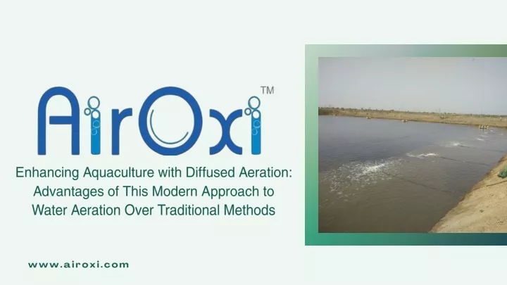 enhancing aquaculture with diffused aeration