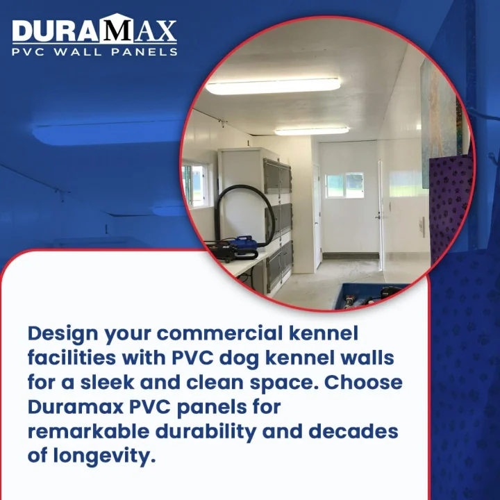 PPT ProtectyourkennelinteriorswithPVCwallcoveringfordog