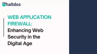 Web Application Firewall. Enhancing web security in the digital age