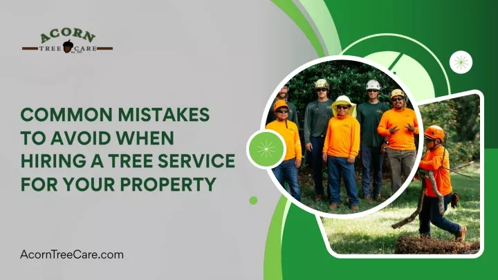 common mistakes to avoid when hiring a tree