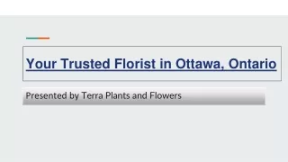 Terra Plants and Flowers: Your Trusted Florist in Ottawa, Ontario