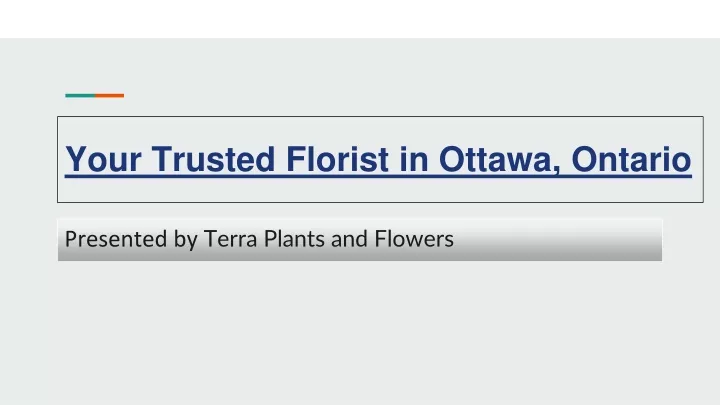 your trusted florist in ottawa ontario