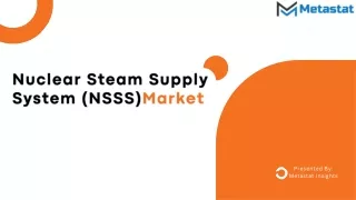 nuclear steam supply system nsss mar ket