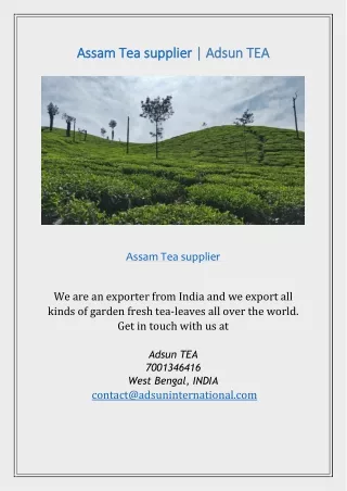 Assam Tea supplier