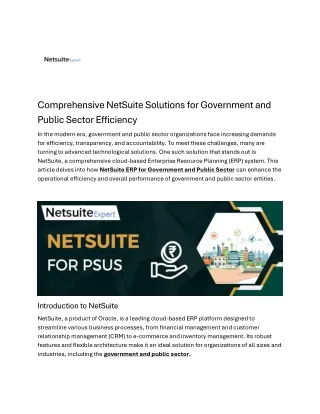 NetSuite for Government and Public Sector