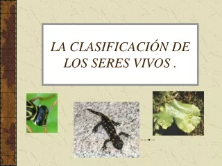 la clasificaci n de los seres vivos