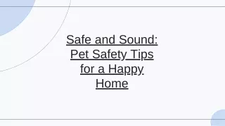 Customized ID Collars for Your Four-Legged Friends | CurliTail