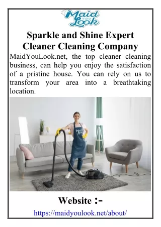 Sparkle and Shine Expert Cleaner Cleaning Company