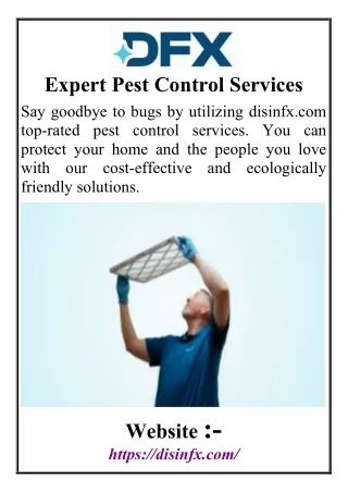 Expert Pest Control Services