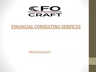 Financial Consulting Services