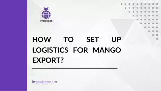 How to set up logistics for mango export