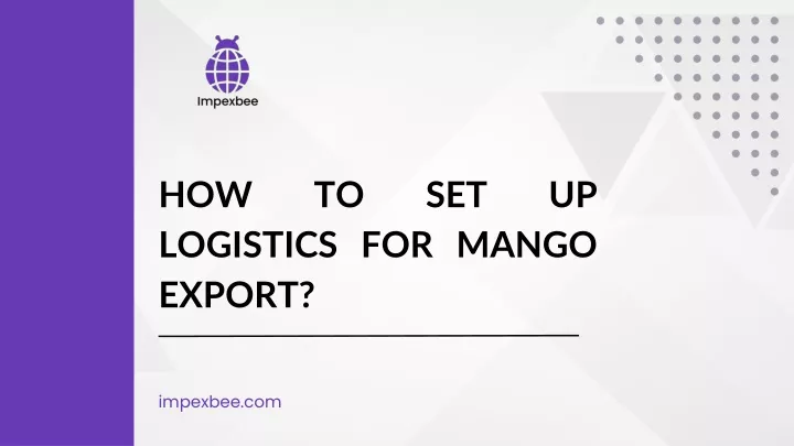 how to set up logistics for mango export