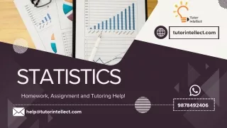 tutorintellect com