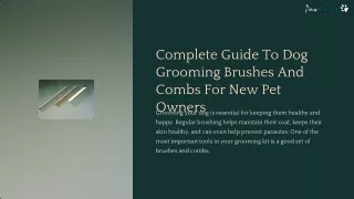 The Ultimate Guide to Dog Brushes and Combs: Expert Grooming Tips