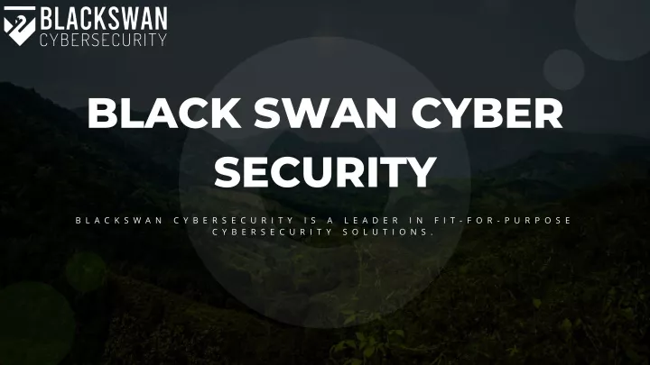 black swan cyber security