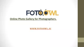 Online Photo Gallery for Photographers.