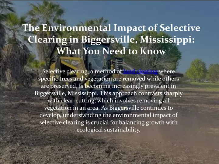 the environmental impact of selective clearing in biggersville mississippi what you need to know