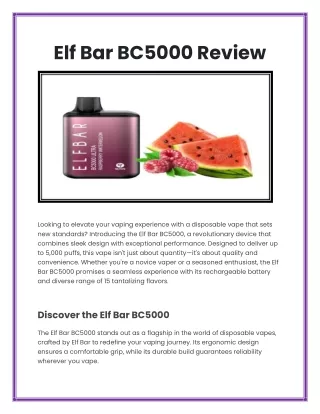 Elf Bar BC5000 Review