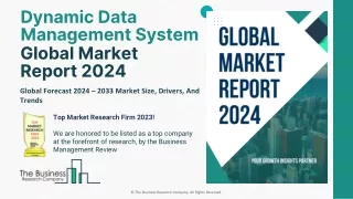 dynamic data management system