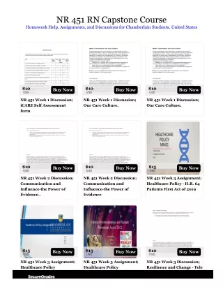 nr 451 rn capstone course homework help
