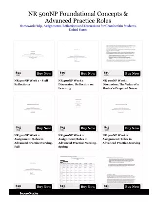 nr 500np foundational concepts advanced practice