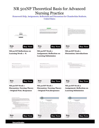 nr 501np theoretical basis for advanced nursing