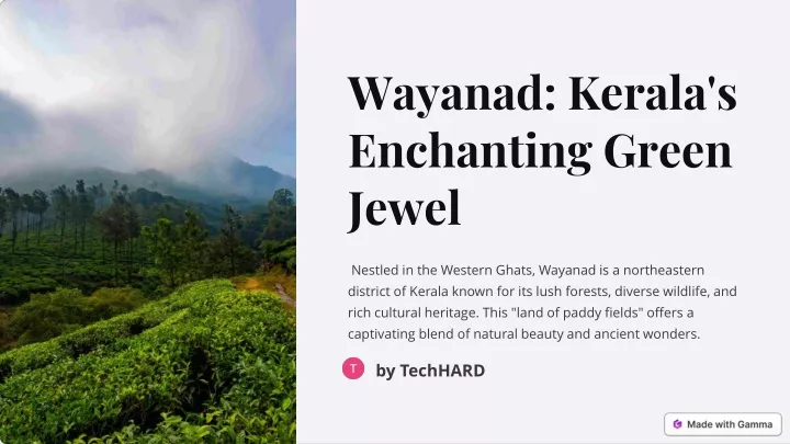 wayanad kerala s enchanting green jewel