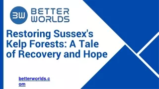 Restoring Sussex's Kelp Forests A Tale of Recovery and Hope