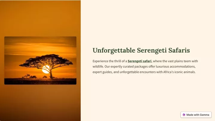 unforgettable serengeti safaris