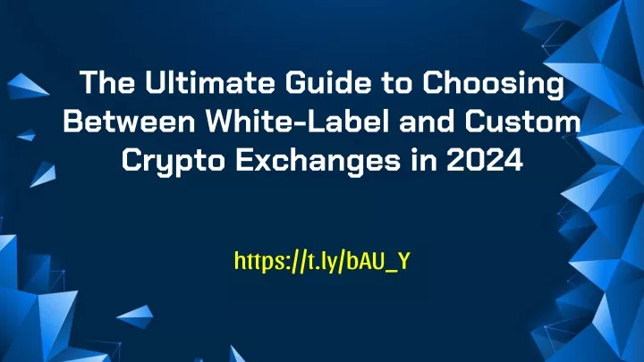 the ultimate guide to choosing between white label and custom crypto exchanges in 2024