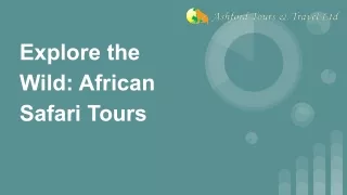 Explore the Wild African Safari Tours