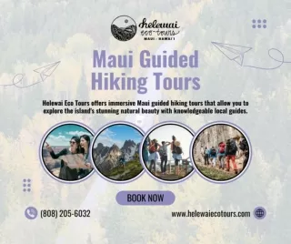 Maui Guided Hiking Tours