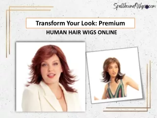 Premium Human Hair Wigs Online