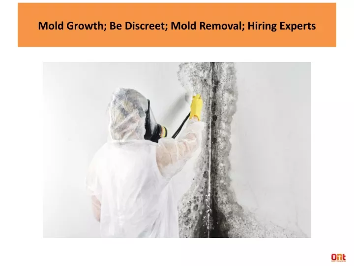 mold growth be discreet mold removal hiring experts