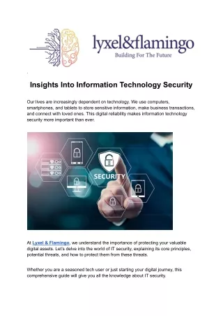 Strengthen Your Business with Advanced IT Security Solutions Lyxel & Flamingo