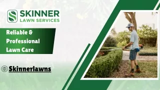 Landscaping Jacksonville - Skinner Lawns